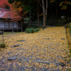 京都紅葉の旅　亀岡 後編