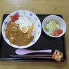 黄色いニンジン入りカレー