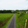 朝に歩いて