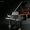 C.BECHSTEIN