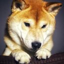 人生は暇つぶし