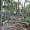 藤心・上人塚の森パートⅡの東側の森3日目