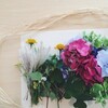 紫陽花と草花