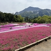 羊山公園