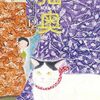 猫奥　12