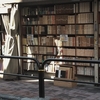 東京古本屋巡り～神保町から模索舎まで～