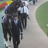 ウオッカについて…～私の心を奪った馬、喜ばせた馬、幸せの馬、…だったのに…