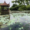 クイニョンへ②    ティエンフン寺 