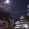 【桜の松本城】情緒を味わう春の夜　～夜桜ライトアップ「光の回廊」～