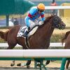 先月１１日にゲート試験に再合格。現在は帰厩に備え、ＮＦ天栄で乗り込み中。☆アルナイル