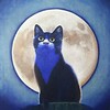 年明けに会った猫