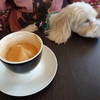 いいね：「マルビース」（Malby's Cafe）－プラハ２区キューバカフェ