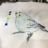 ペット絵刺繍　飛ぶのが下手なセキセイインコ？！ ブンちゃん