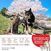 『ももとじん　小さな甲斐犬と耳の聴こえない雑種犬』　むらかみかづを