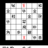 詰将棋迷路