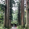 長野県・戸隠神社