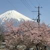 【キャンプ場】朝霧Camp Base そらいろ行ってきた！〜富士山がばっちり見れてゆったりできるキャンプ場でした〜