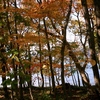 屈斜路湖畔の紅葉