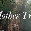 ずーっと気になっていた　"Mother Tree"