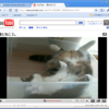 Ubuntu版ChromeでFlashが使えるらしい！
