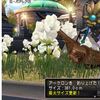 【ドラクエⅩ】4.5後期　ネタバレあり　～新魚のアーケロン釣ってきました～