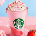 SakuraFrappuccinoの上海life