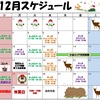 12月スケジュール