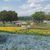 春真っ只中の万博公園 中編