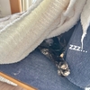 在宅勤務のランチタイム。愛猫に占拠されて座る場所がない！