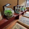 バイクで訪園館：おばま水族館
