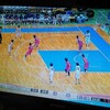 終日スポーツモードだったな。