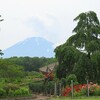 富士山樹空の森レビュー！レストラン、駐車場、公園の詳細！