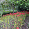 ロケハン 呉羽山公園都市緑化植物園！その1