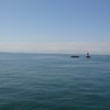 2023.06.04【船活】横浜港を出港する潜水艦「とうりゅう」、護衛艦「あぶくま」撮影