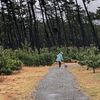 3月　雨の日の散歩