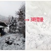 綺麗な高齢者の裏に家族有り