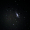 かみのけ座 NGC4559 棒渦巻銀河