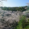 年に一度の観音ヶ池市民の森