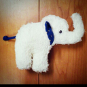 PIKI’s blog