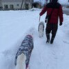 うんちのタイミング