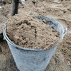 Куры-несушки, забыли про песок – прощай яйценоскость