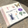 #008『Collection』Another PSY•S［saiz］（1987）