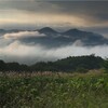 ９月１１日（水）雲海、夕焼け雲、巨人、大相撲、サッカーW杯アジア予選