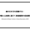 線の引き方を想像する：視聴者の評価と心拍数に基づく書道鑑賞の促進要因について（Matsumoto & Okada, Frontiers in Human Neurosience, 2021）