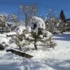 大雪の思い出