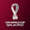 サッカー 2022 W杯 カタール 見所