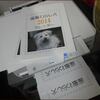 座敷わらし犬カレンダー
