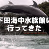 【体験談】下田海中水族館に行ってきた～特設シートは高いけど一度は