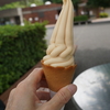 【お花いっぱいの写真日記】代休の日のお散歩　ガラガラの昭和記念公園を歩く