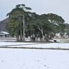 残雪の太郎坊山